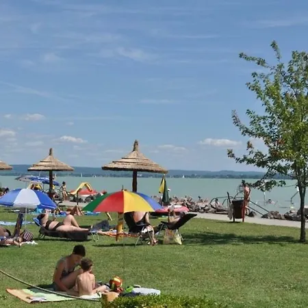 Holiday In Revfulop/balaton 19614 Ferienhaus Balatonfenyves